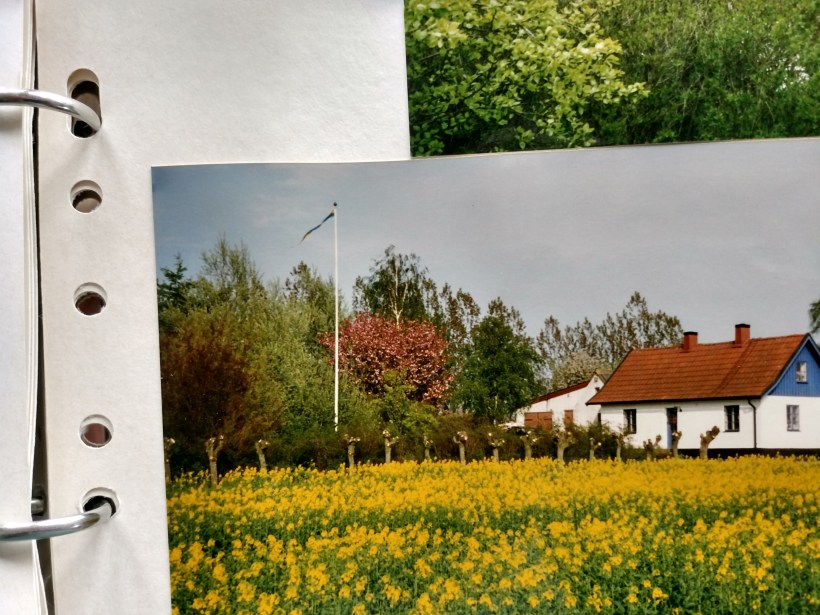 20180327 Mot hus o trädgård 1996