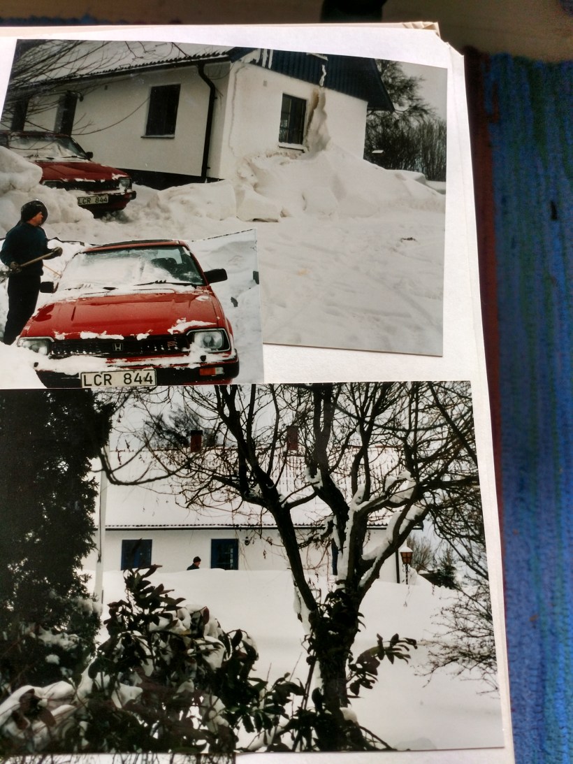 20180327 Vintern 1996