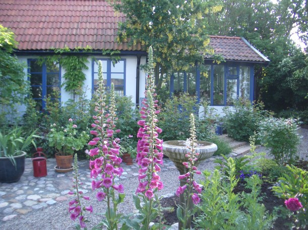 Vackert på innergården 2006