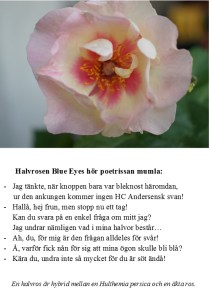 Blue Eyes är nyfiken på sig själv