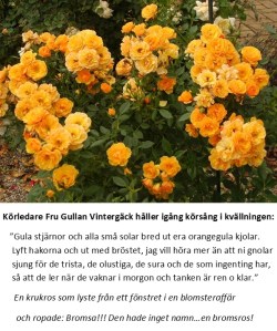 Fru Gullans kvällskör