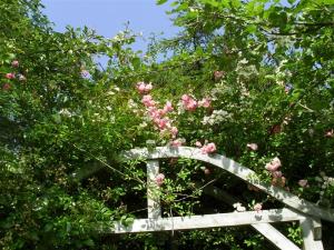 SAMSUNG DIGITAL CAMERA