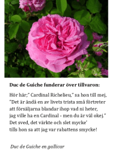 Duc de Guiche funderar