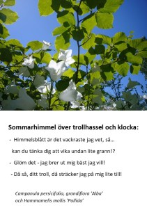 Trollhassel och klocka