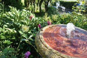 En snäckas vedermödor