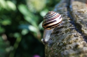 Oj, är det så långt ner?