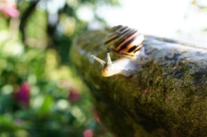 Hej hallå, men... se på meeej!