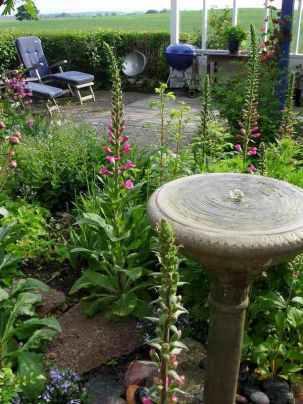 SAMSUNG DIGITAL CAMERA