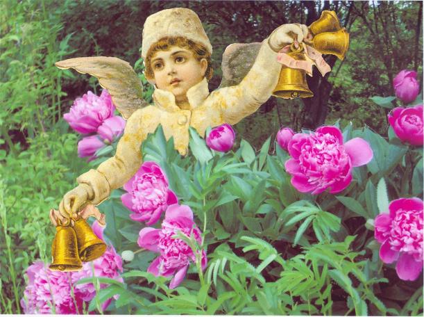 Ängel bland pioner, julkort 07