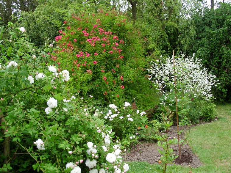 SAMSUNG DIGITAL CAMERA