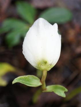 ???????????????????????????????