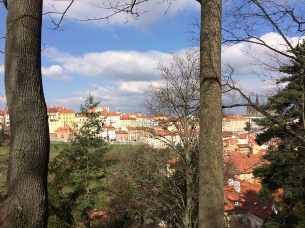 Utsikt mot slottet Prag-15