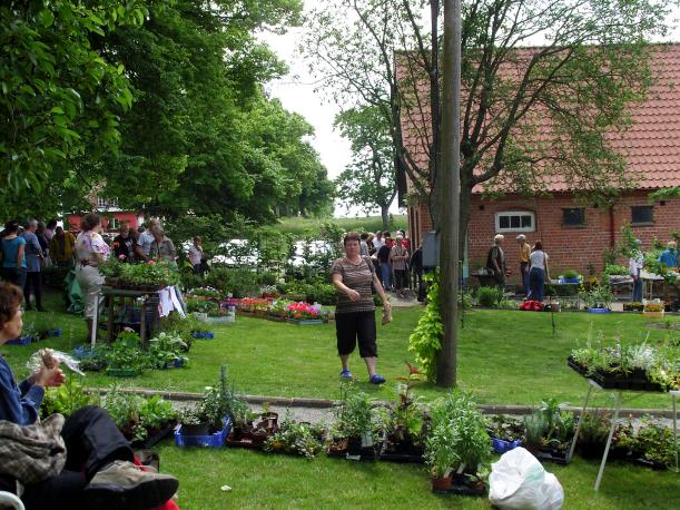 SAMSUNG DIGITAL CAMERA