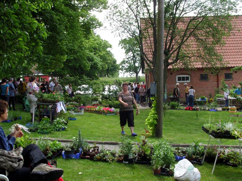 SAMSUNG DIGITAL CAMERA