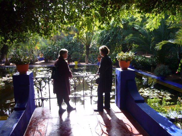 MA Utsikten näckrosdamm