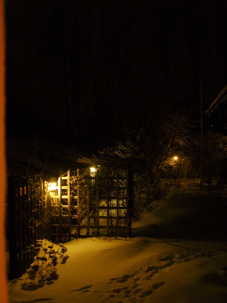 SAMSUNG DIGITAL CAMERA