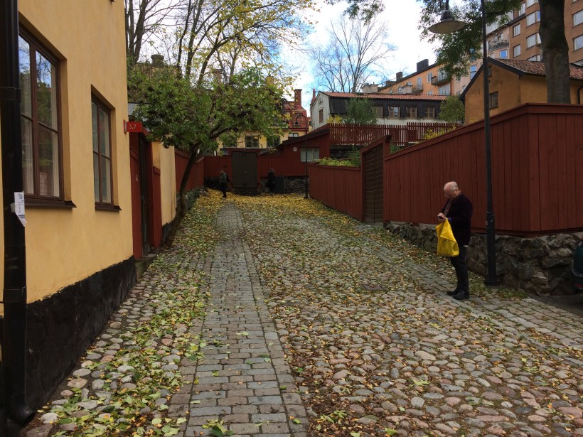 lilla-skinnarviksgrand-moa