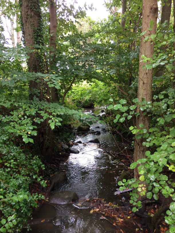 vattenblank-10-okt-16