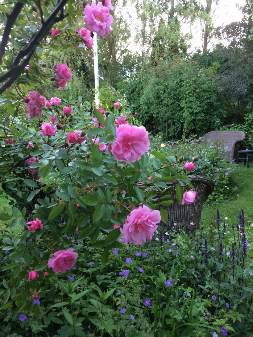 R. John Davies i skymningen