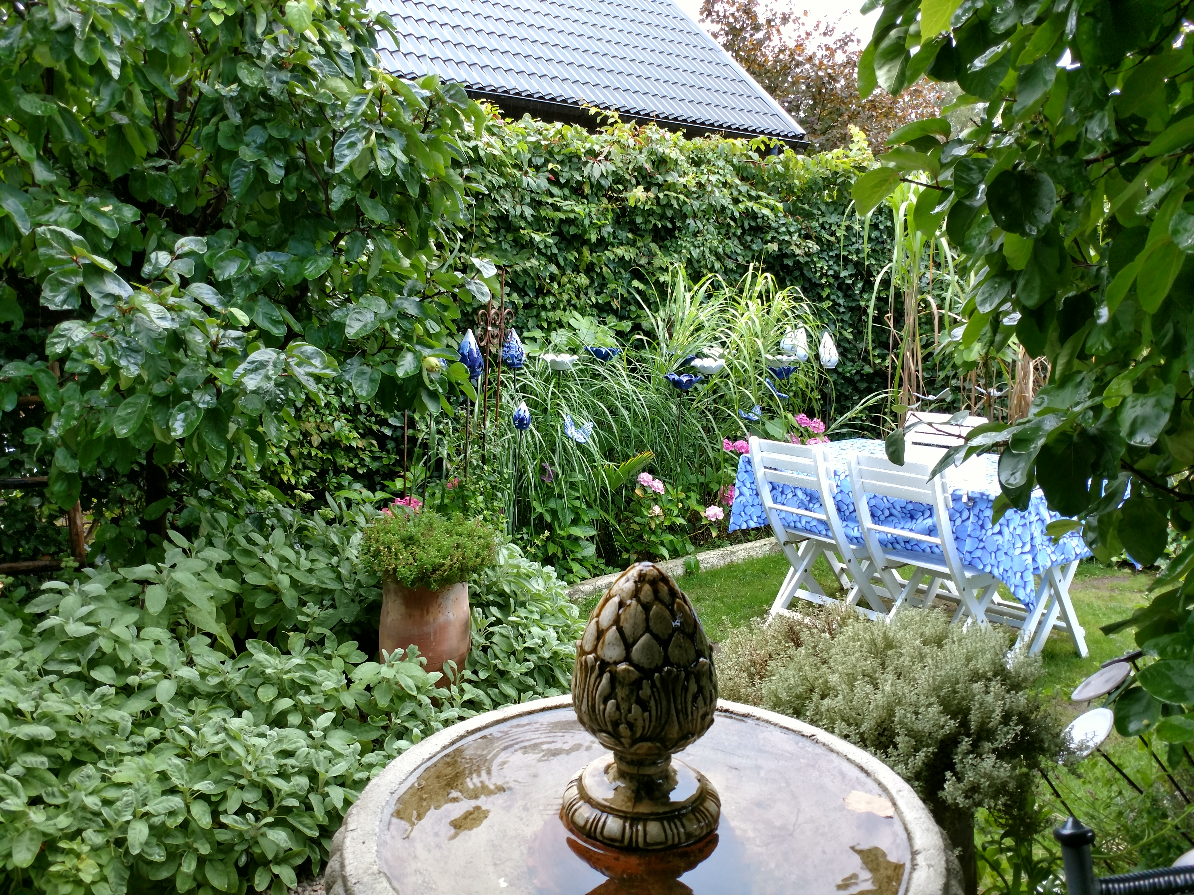 20170827 En liten bit... trädgård 3