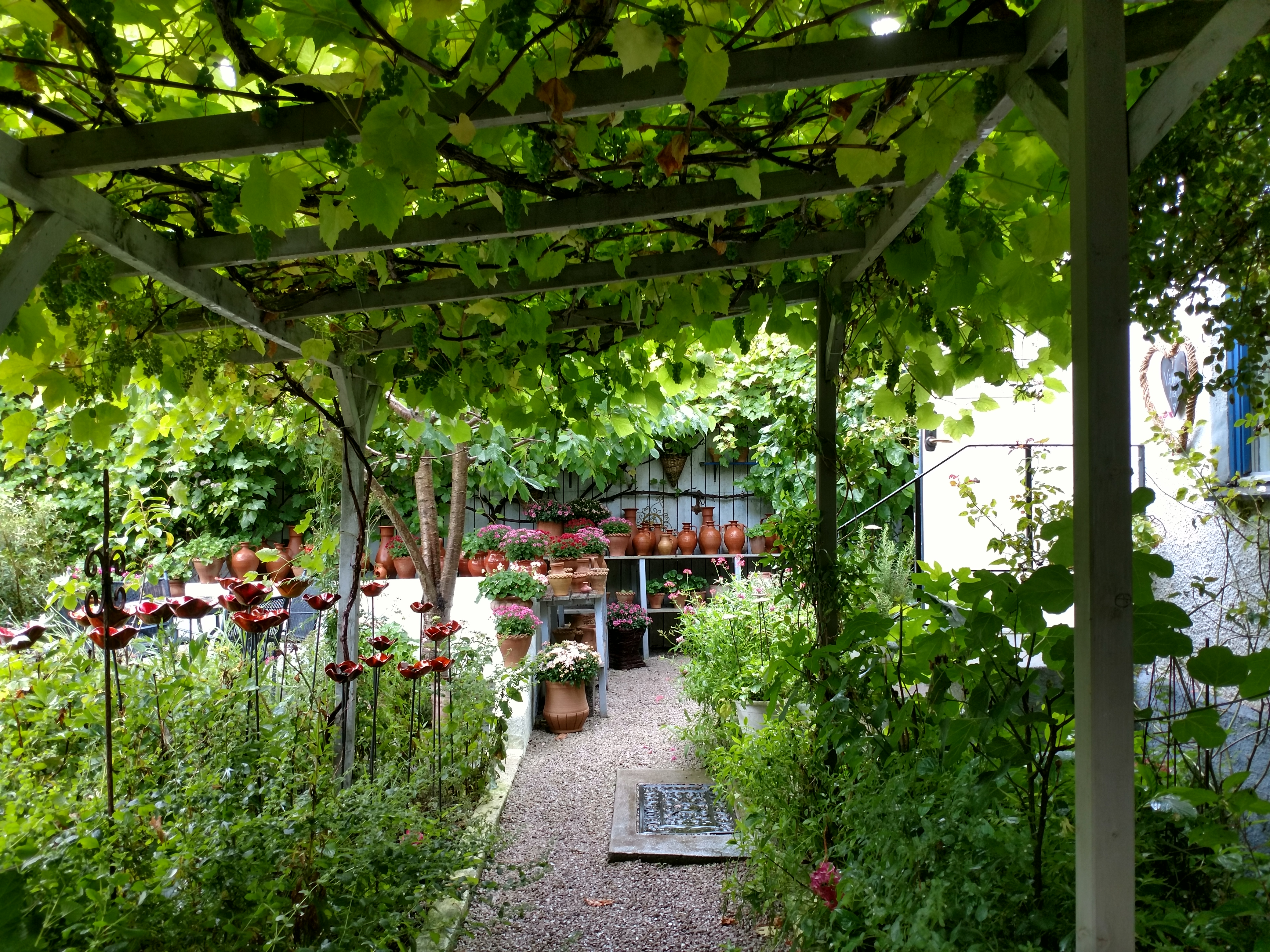 20170827 En liten bit... vinrankor o krukor