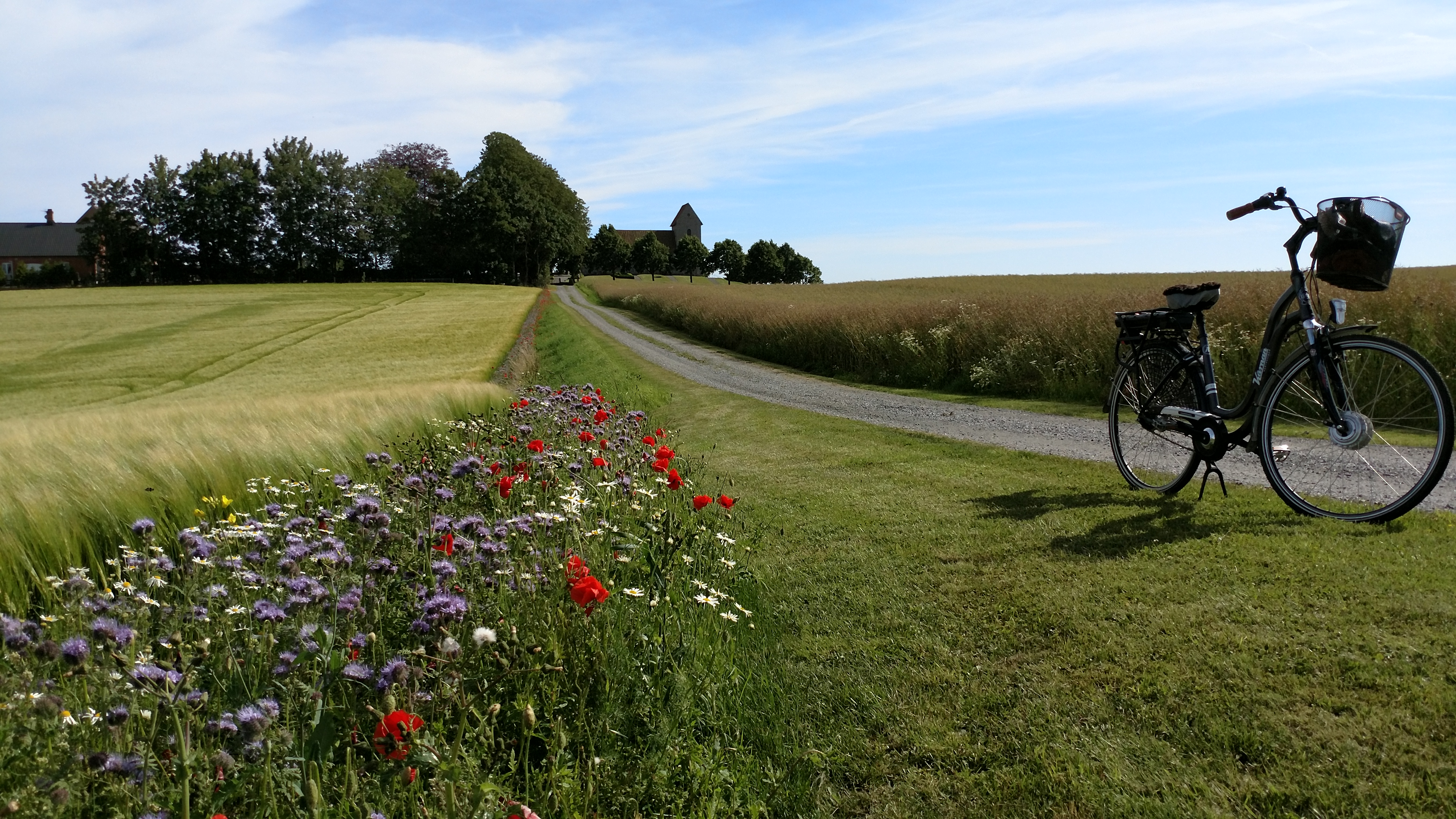 Cykel o åkerkant