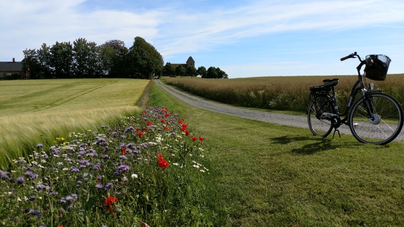 Cykel o åkerkant
