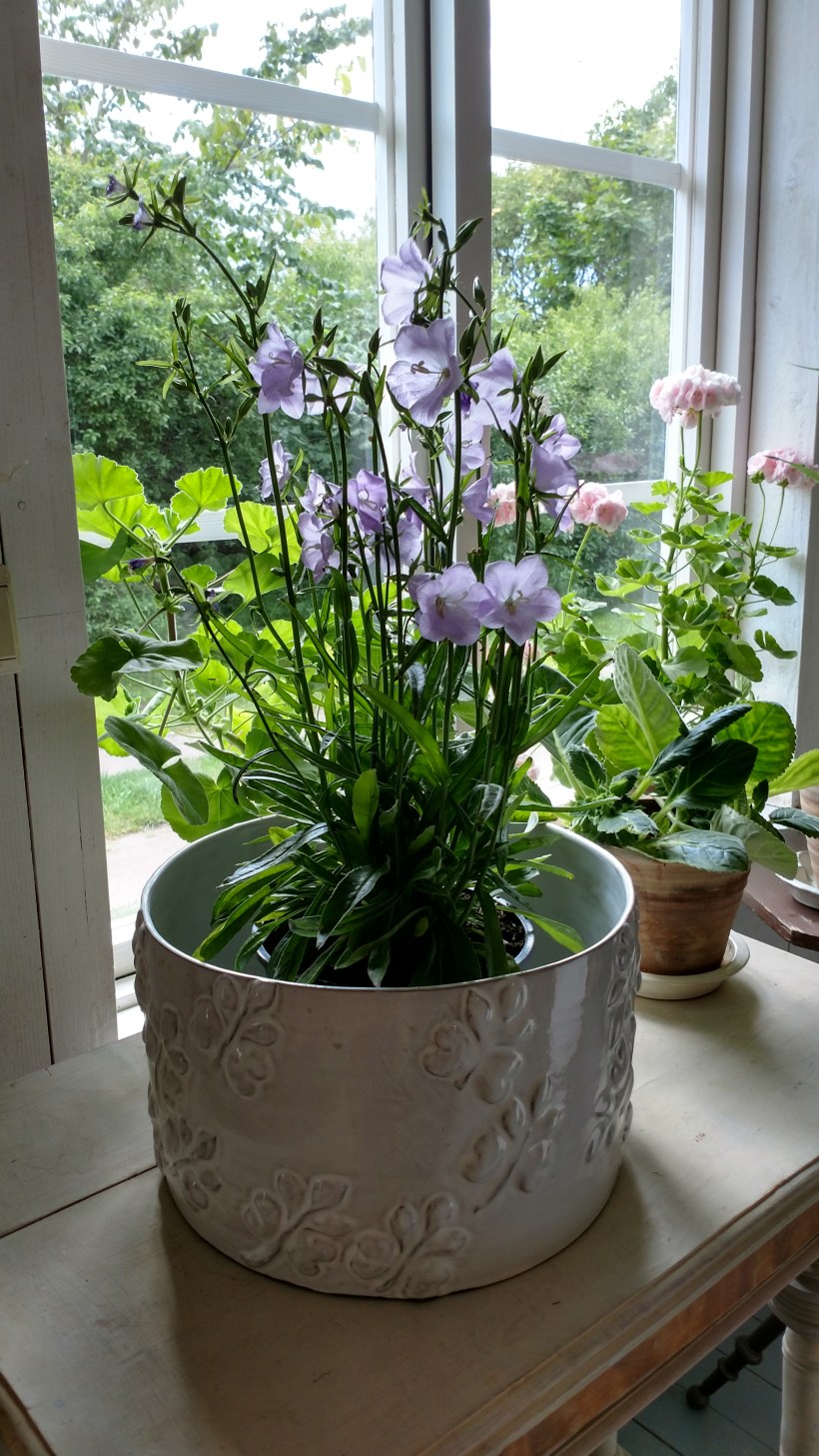 En Campanula hos keramikern Maria Malmström