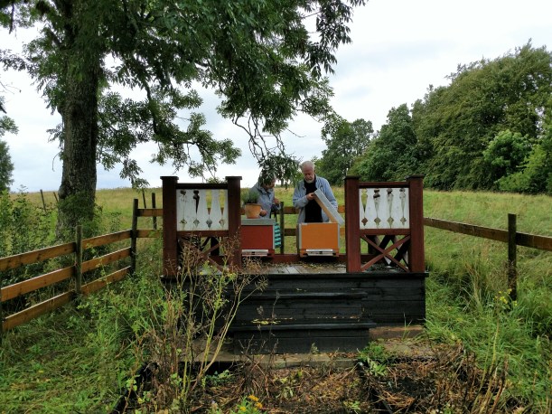 20170913 Tittar till bikuporna