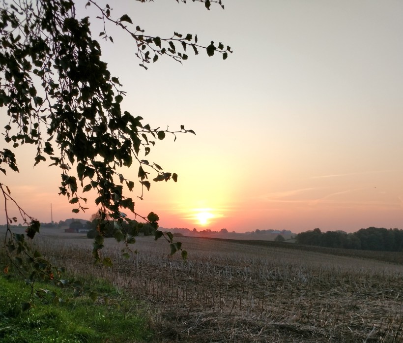 Utsikt åt öster 20170929 - kopia (2)