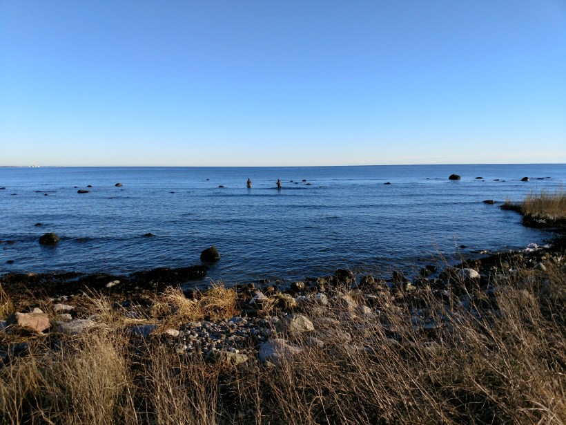 20180107 januarifiskare (2)