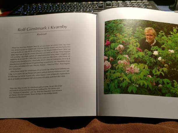 IMG_20180415_233716951_HDR