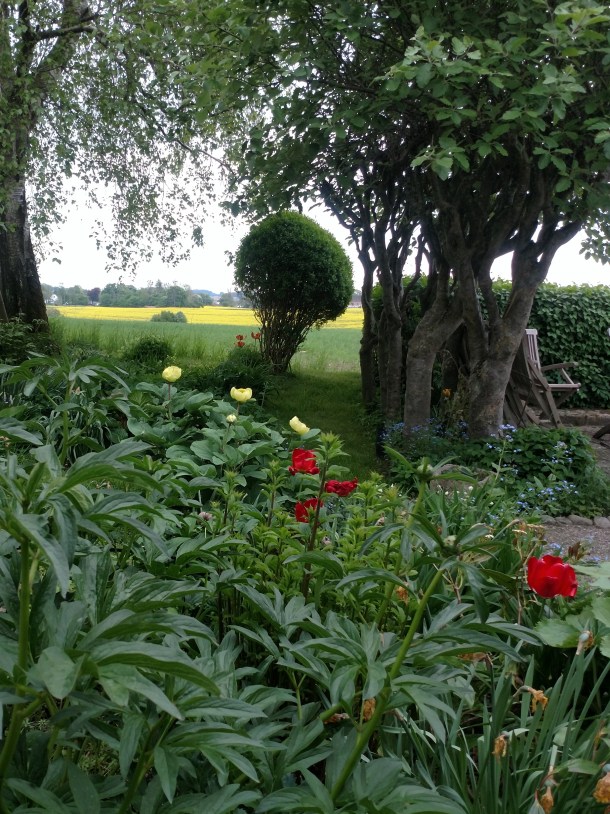 20180515 Från kökstrappen