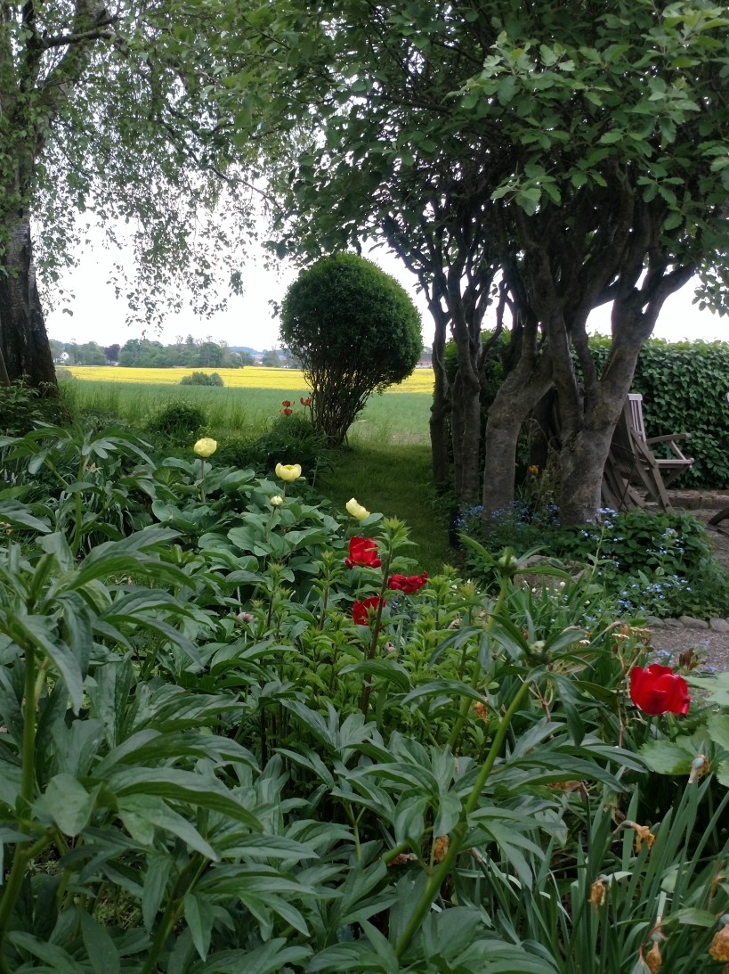 20180515 Från kökstrappen