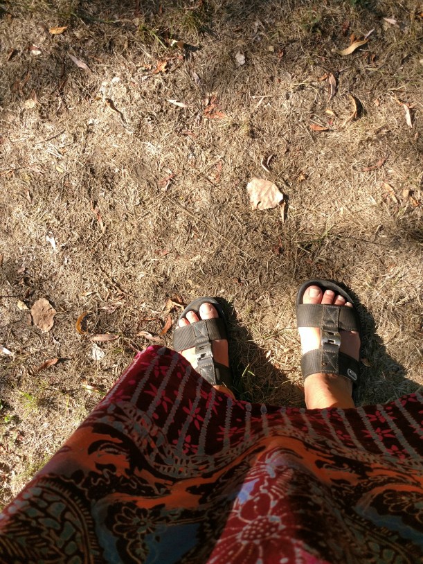 20180716 Brunt gräs