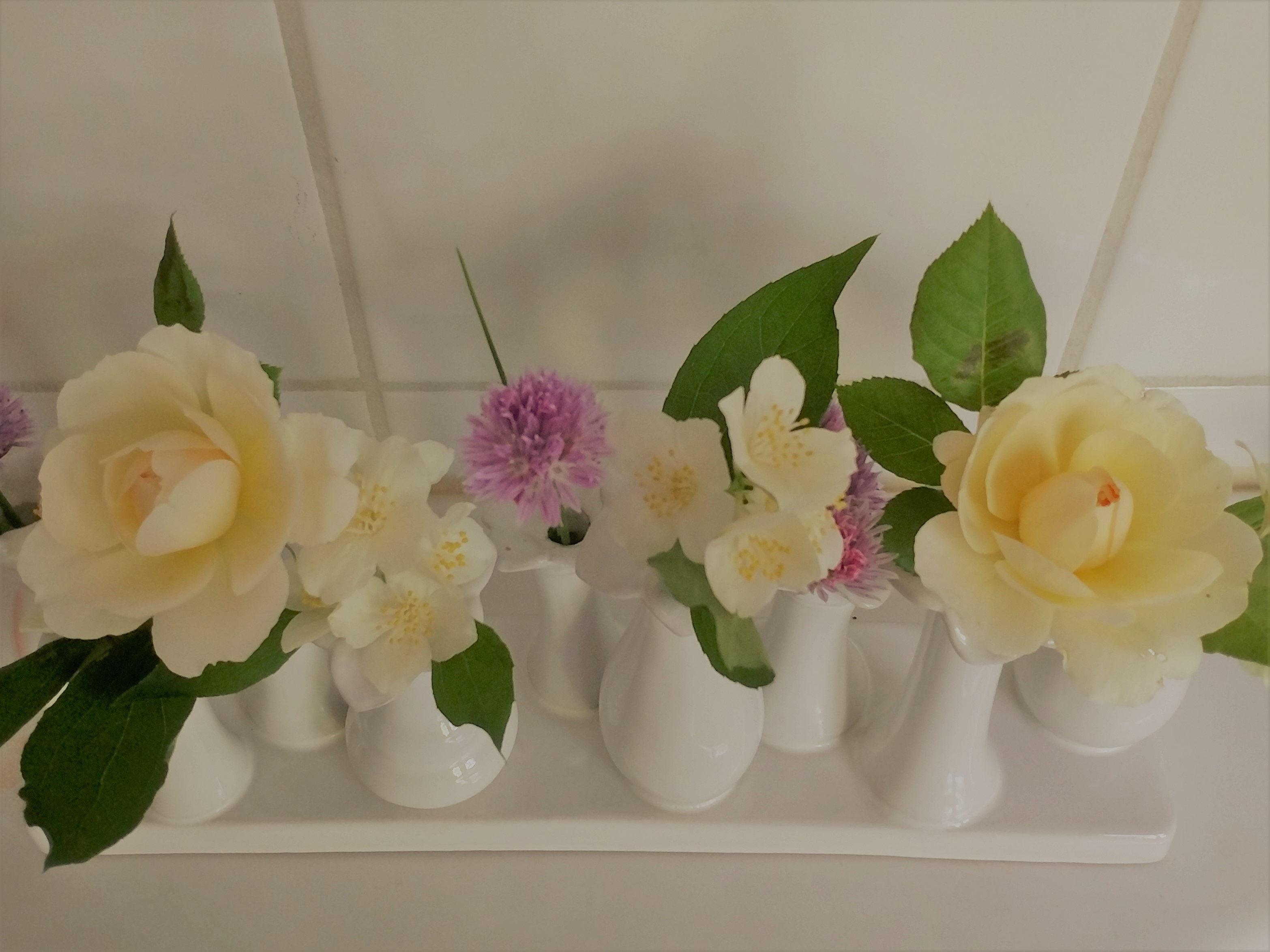 IMG_20180607_100010117