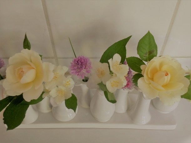 IMG_20180607_100010117