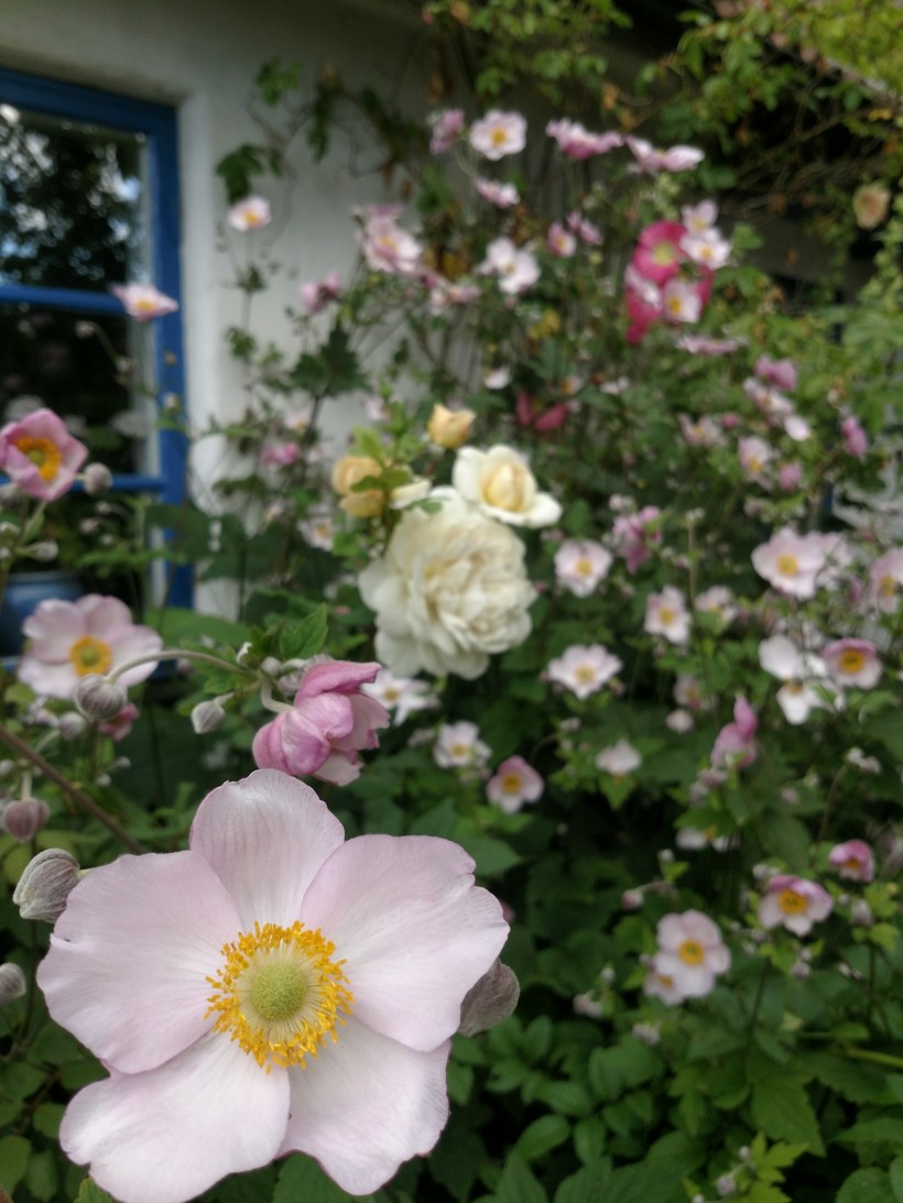 IMG_20180724_111440410