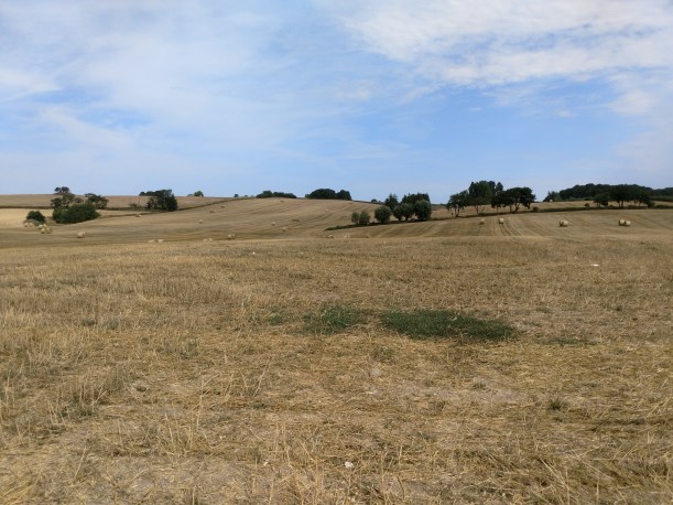 20180802 Höbollar 2