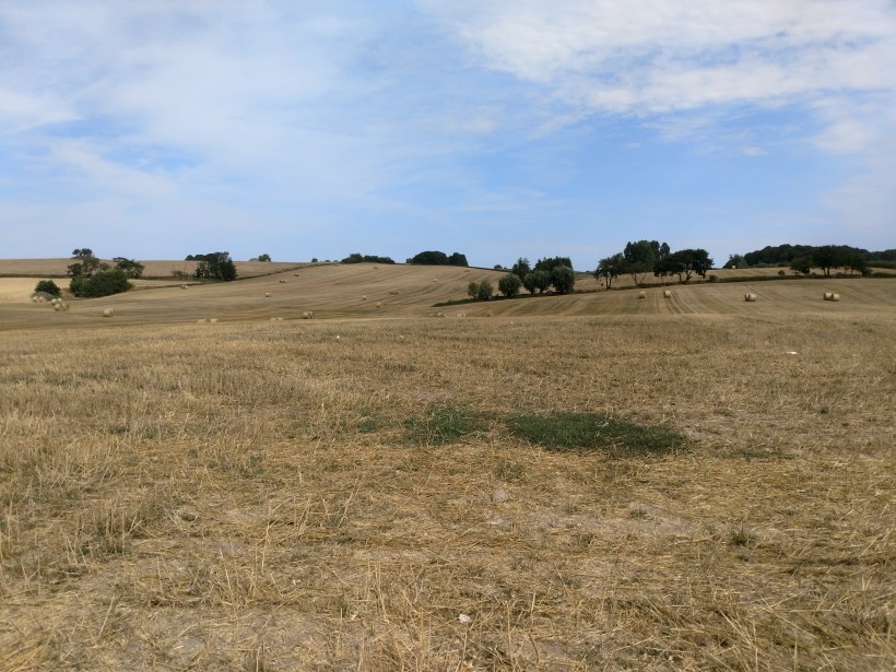 20180802 Höbollar 2