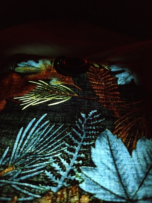 20180916 Lysande löv