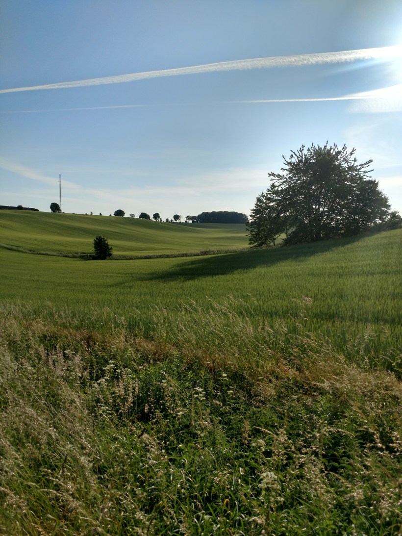 IMG_20180608_072515830_HDR