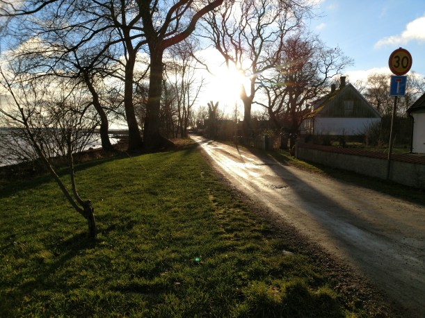 IMG_20181230_135834054_BURST000_COVER