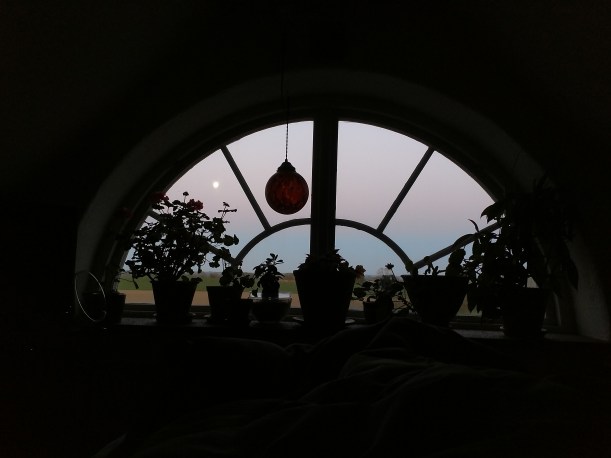 IMG_20190421_053408294