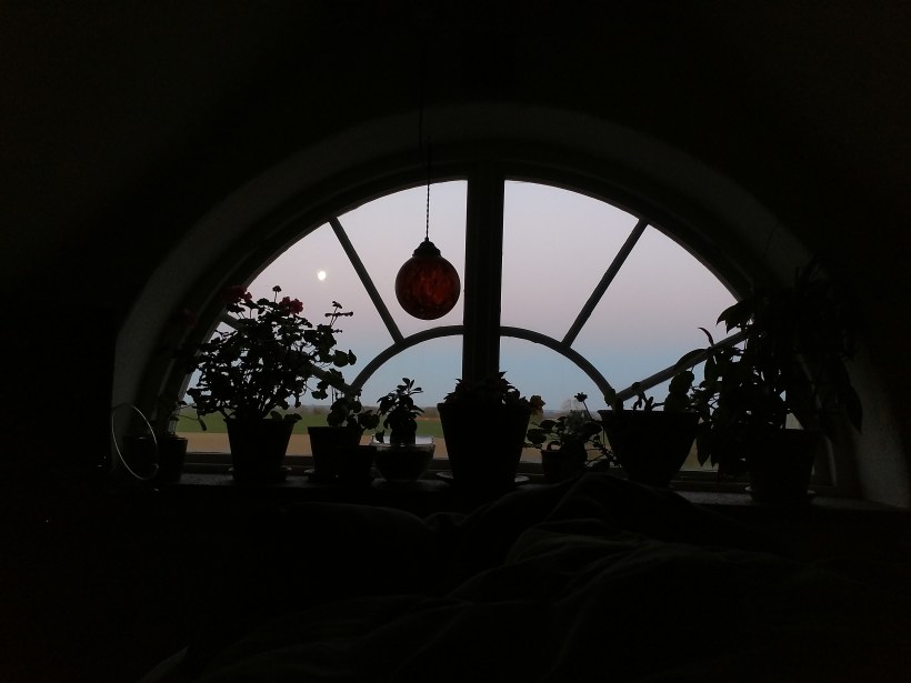 IMG_20190421_053408294