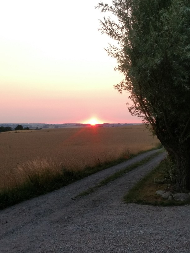 IMG_20180722_212331981