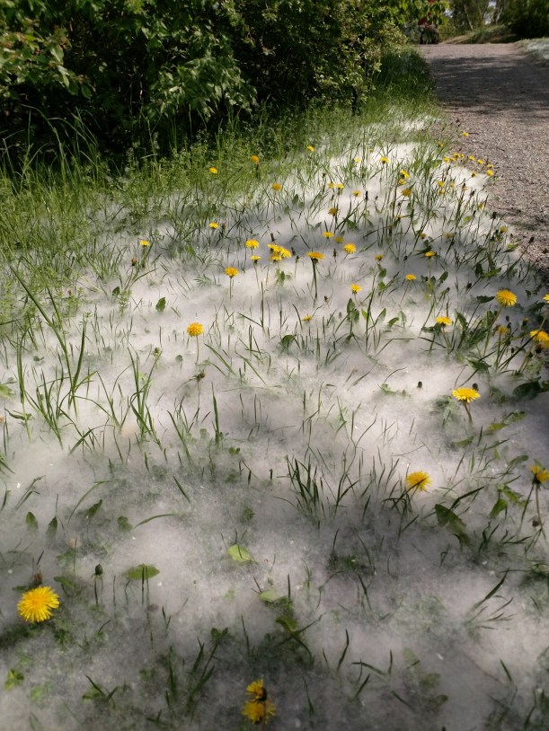 IMG_20190521_115423173