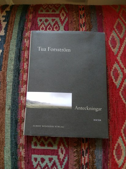 IMG_20190902_180803385