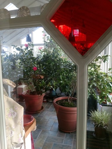 IMG_20191101_140205009