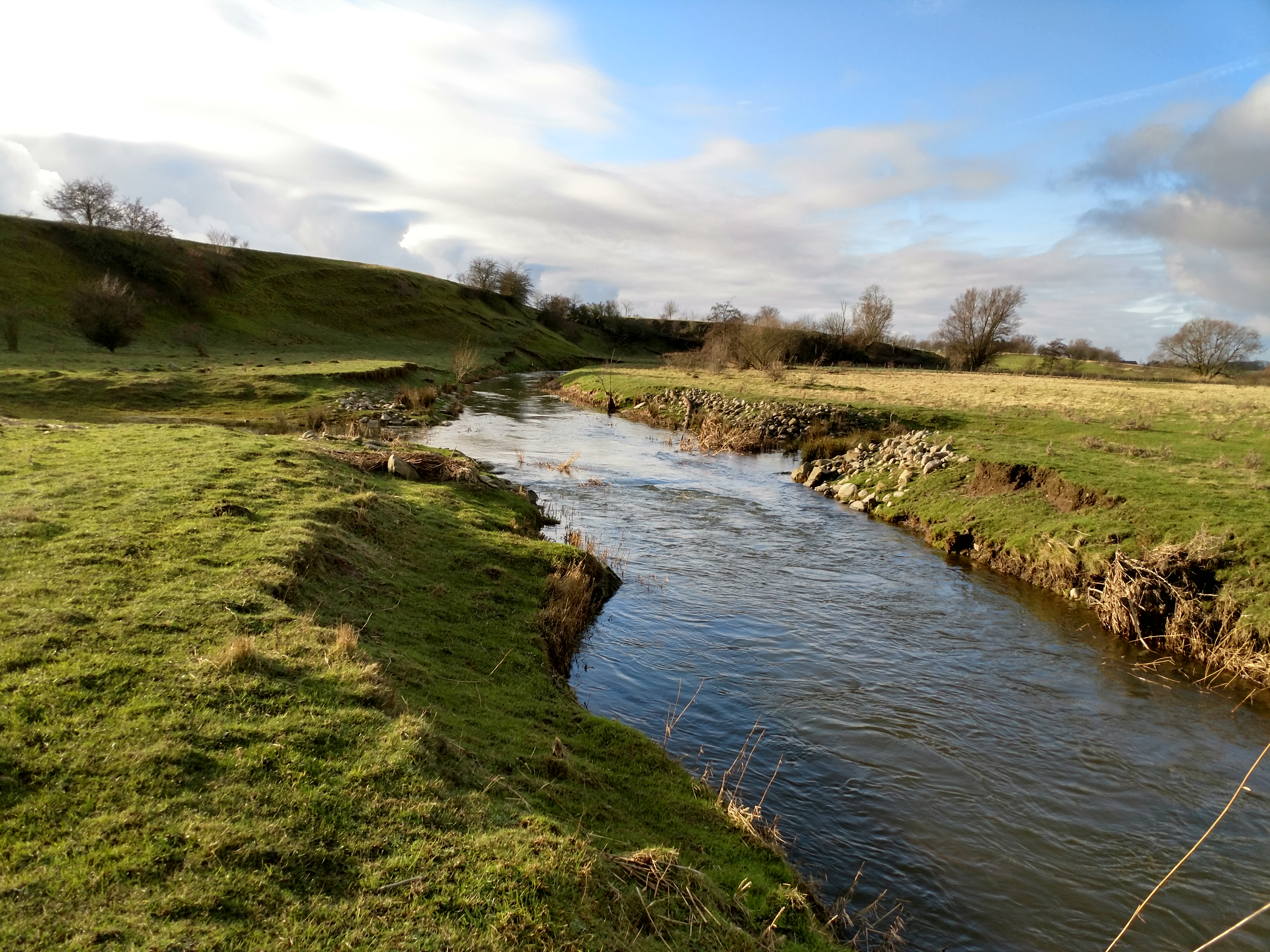 20200125 Skivarpsån i fårhagen